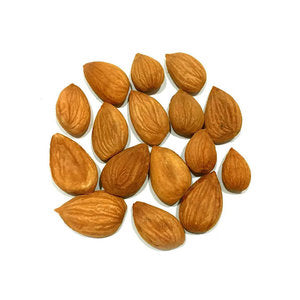 نوى المشمش نوى المشمش